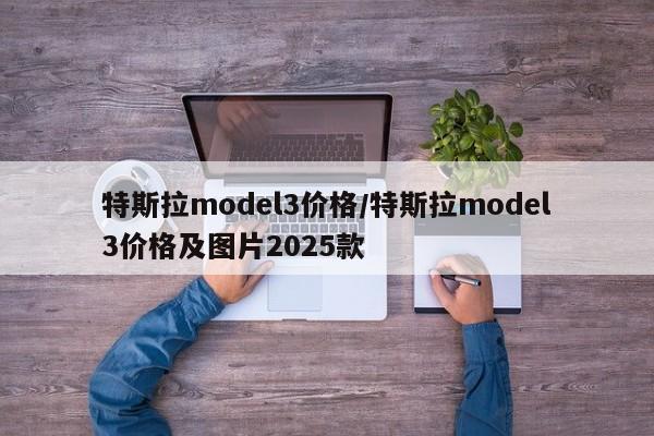 特斯拉model3价格/特斯拉model3价格及图片2025款