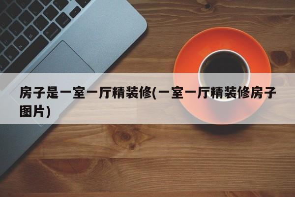 房子是一室一厅精装修(一室一厅精装修房子图片)