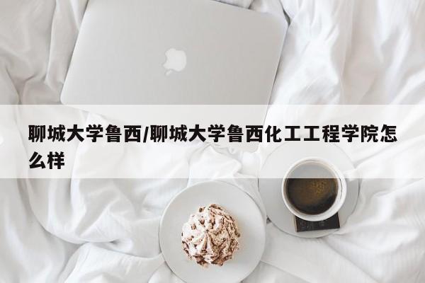聊城大学鲁西/聊城大学鲁西化工工程学院怎么样