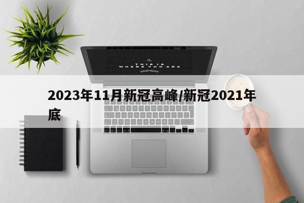 2023年11月新冠高峰/新冠2021年底
