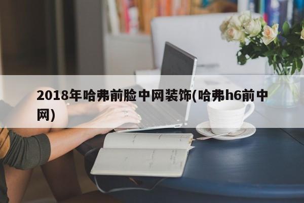 2018年哈弗前脸中网装饰(哈弗h6前中网)