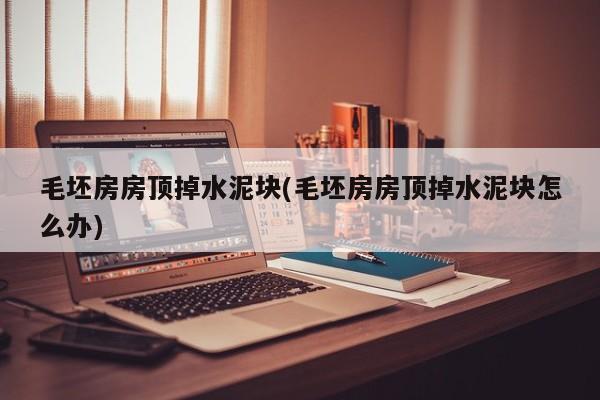 毛坯房房顶掉水泥块(毛坯房房顶掉水泥块怎么办)